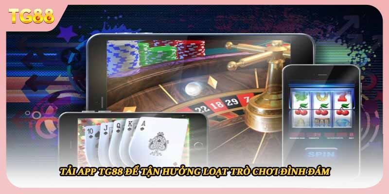 Nên tải app TG88 hay dùng web mobile?